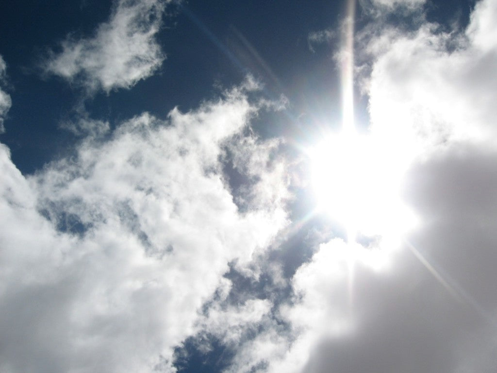 The Role of Vitamin D in Your Health