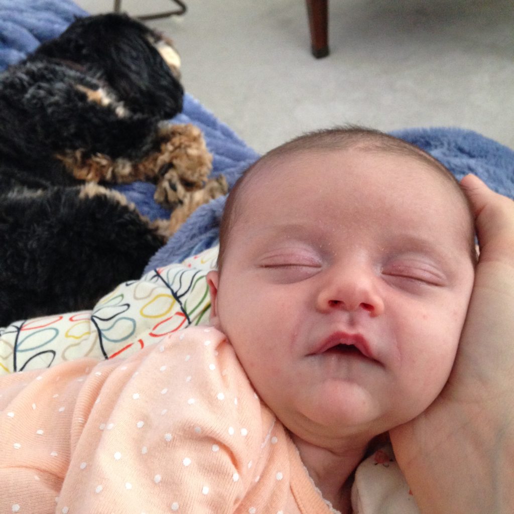 Go to Bed! Why Sleep is the Most Important Part of Your Workout Routine