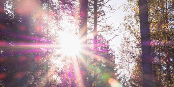 5 Reasons to Order Vitamin D Supplements